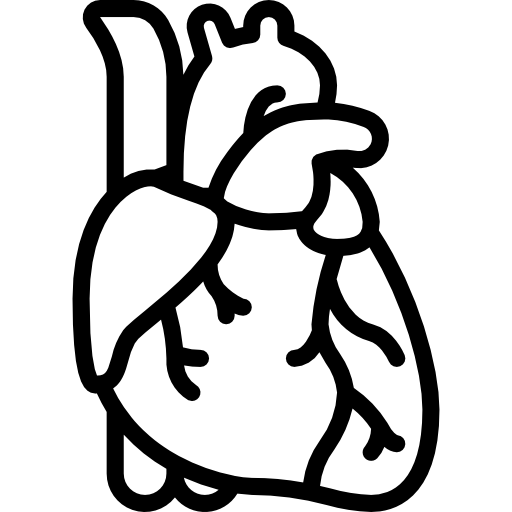 Ľudské telo